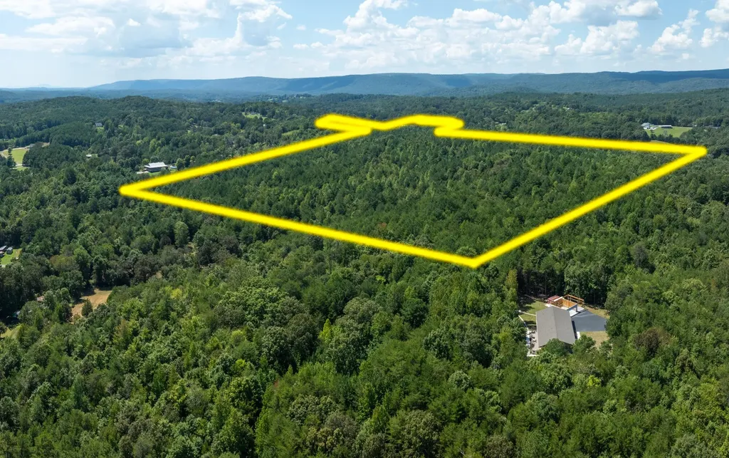 1310 Mayflower Road Sale Creek TN 37373