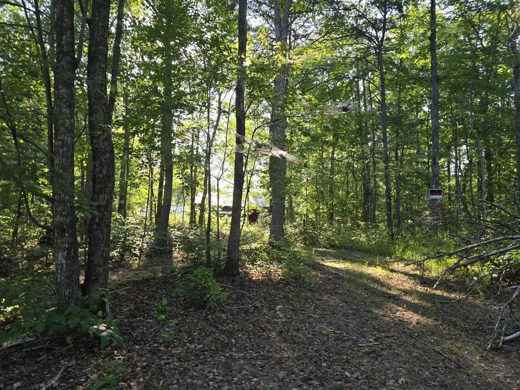 2185 Northcutts Cove Road Beersheba Springs TN 37305