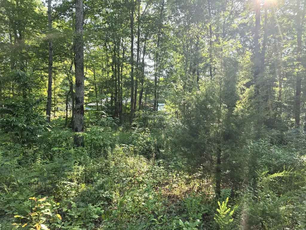 2185 Northcutts Cove Road Beersheba Springs TN 37305