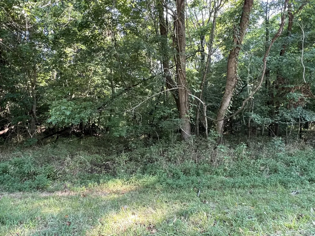 7 Jarrell Ridge Road Clarksville TN 37043