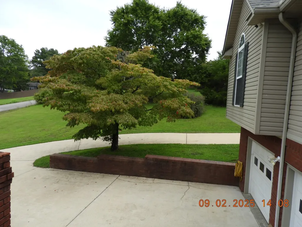 1325 Matthew Avenue Lawrenceburg TN 38464