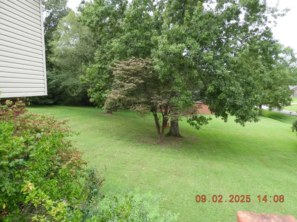 1325 Matthew Avenue Lawrenceburg TN 38464