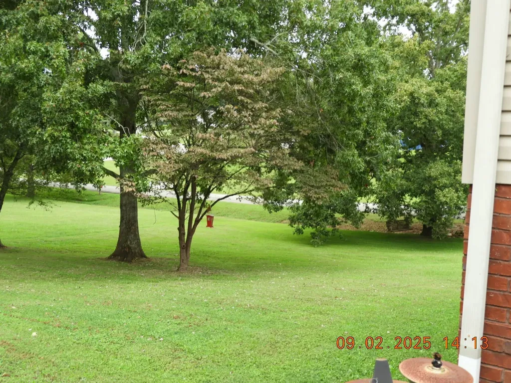 1325 Matthew Avenue Lawrenceburg TN 38464