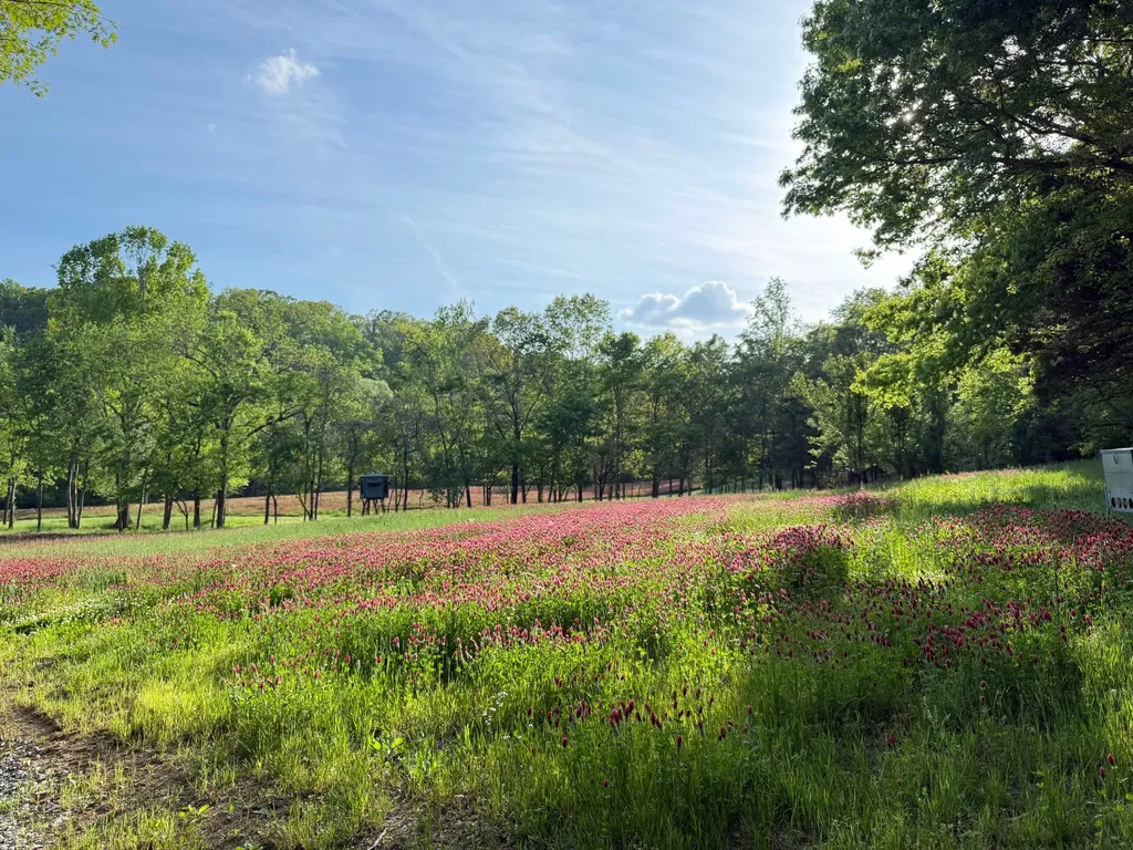5362 Parker Branch Road Franklin TN 37064