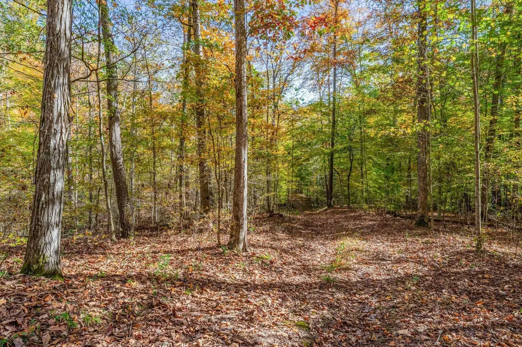 5362 Parker Branch Road Franklin TN 37064
