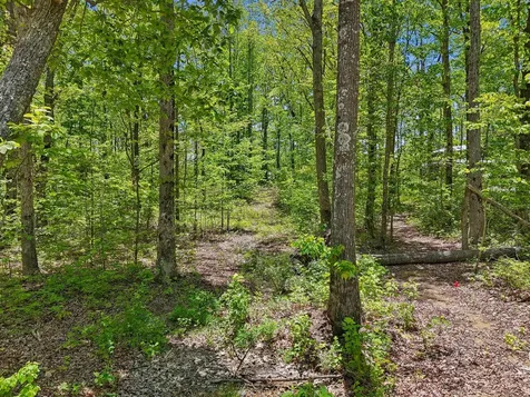 51 Mossy Rock Lane Monteagle TN 37356