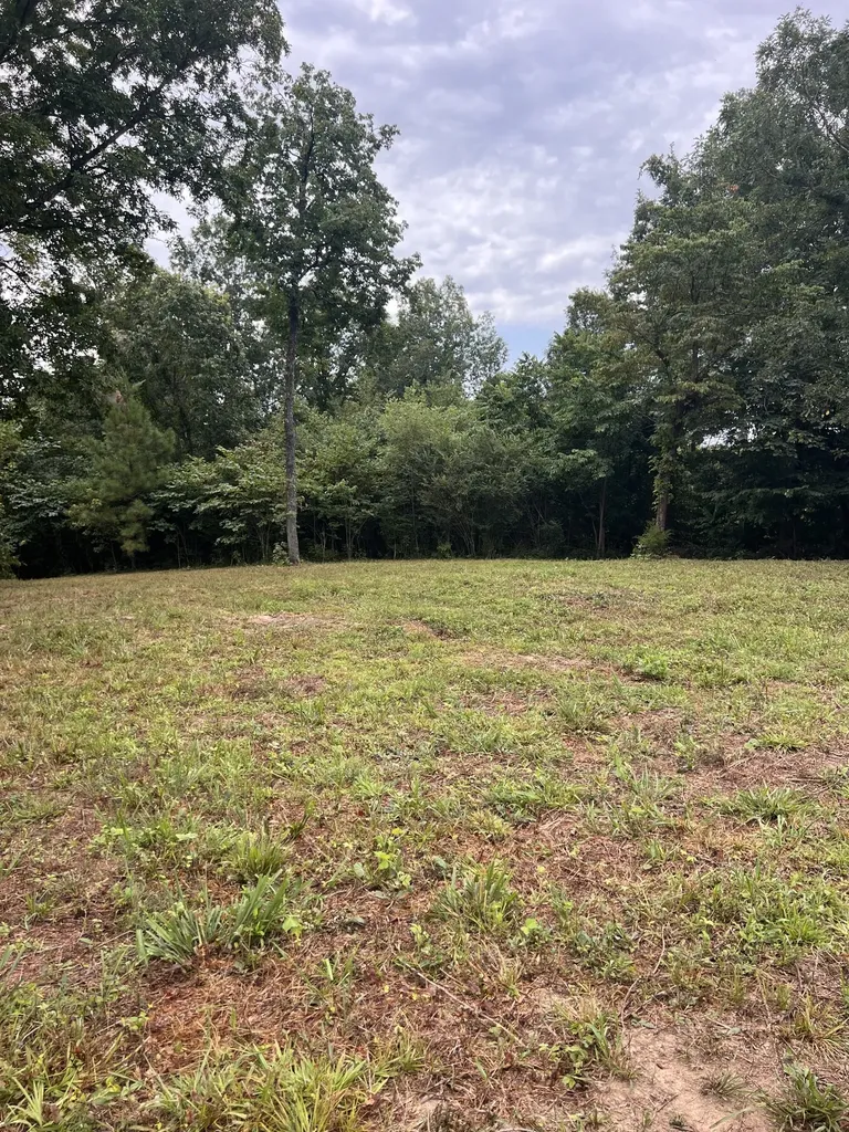 0 High Rise Drive Lyles TN 37098