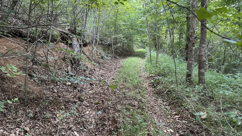 0 High Rise Drive Lyles TN 37098