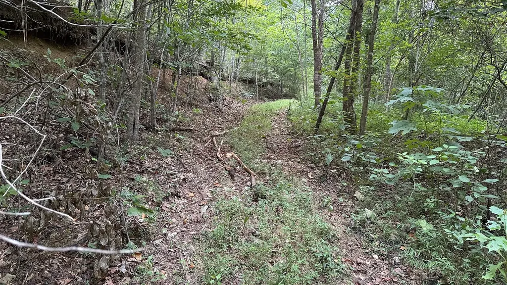 0 High Rise Drive Lyles TN 37098