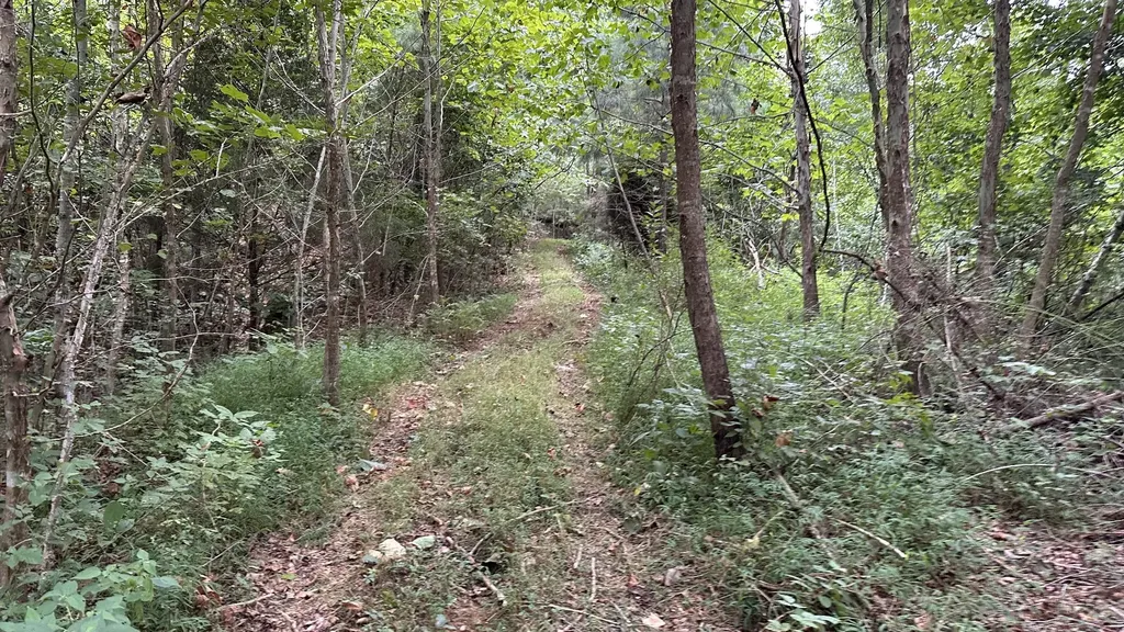 0 High Rise Drive Lyles TN 37098