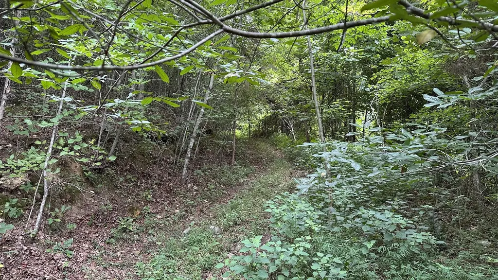 0 High Rise Drive Lyles TN 37098