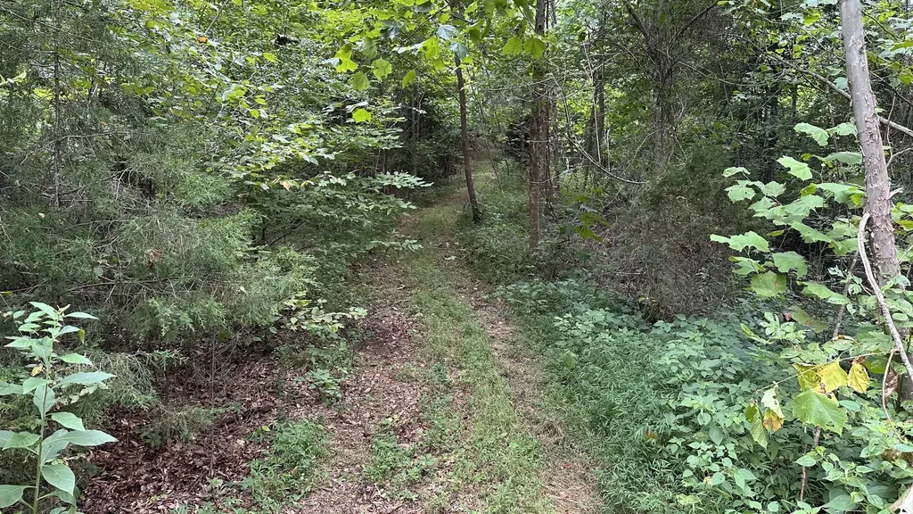 0 High Rise Drive Lyles TN 37098