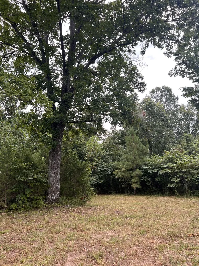 0 High Rise Drive Lyles TN 37098