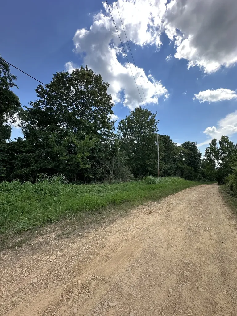 0 High Rise Drive Lyles TN 37098