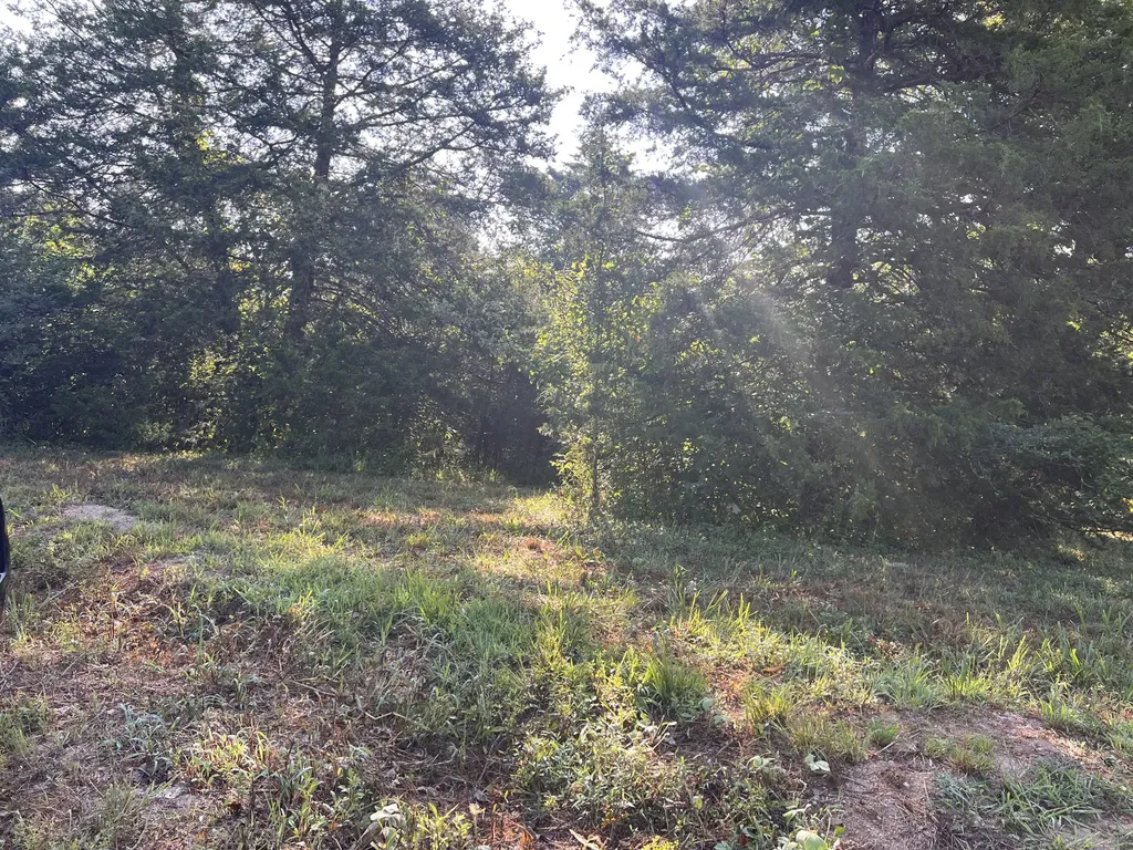 0 High Rise Drive Lyles TN 37098