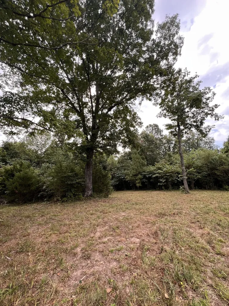 0 High Rise Drive Lyles TN 37098