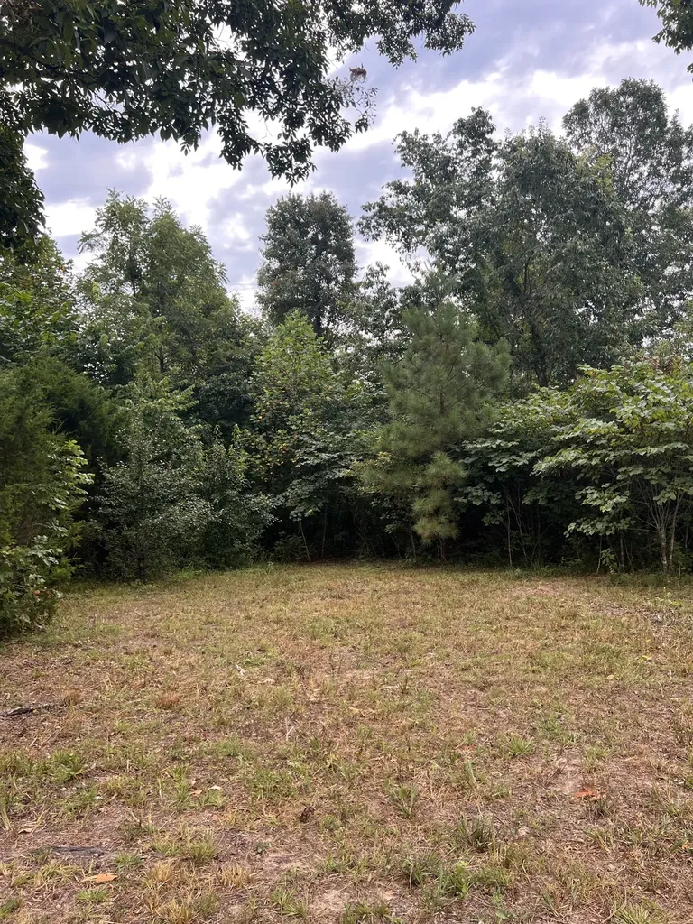 0 High Rise Drive Lyles TN 37098