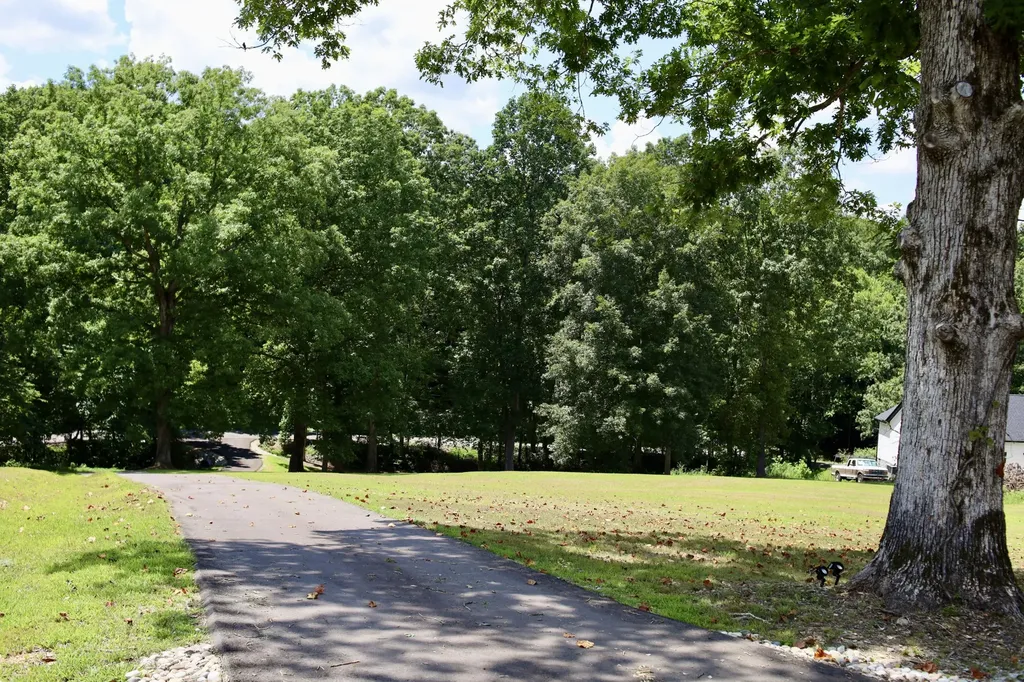746 Nels Adams Road Dickson TN 37055