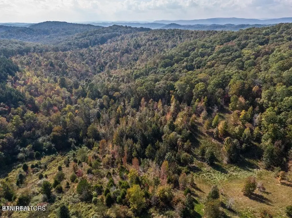 0 Emerald Pointe Circle Rockwood TN 37854