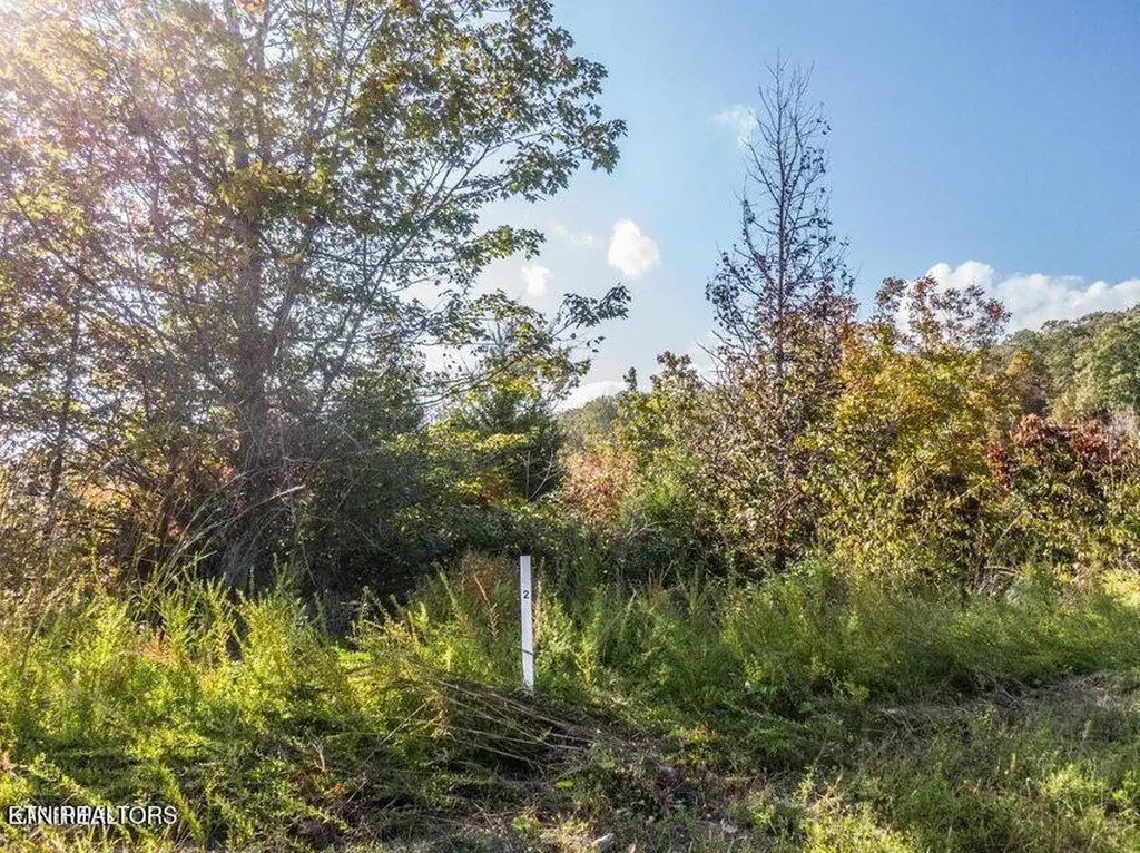 0 Emerald Pointe Circle Rockwood TN 37854