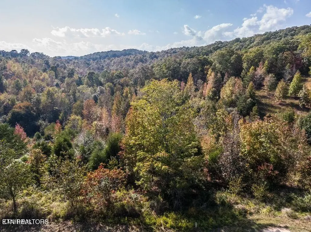 0 Emerald Pointe Circle Rockwood TN 37854