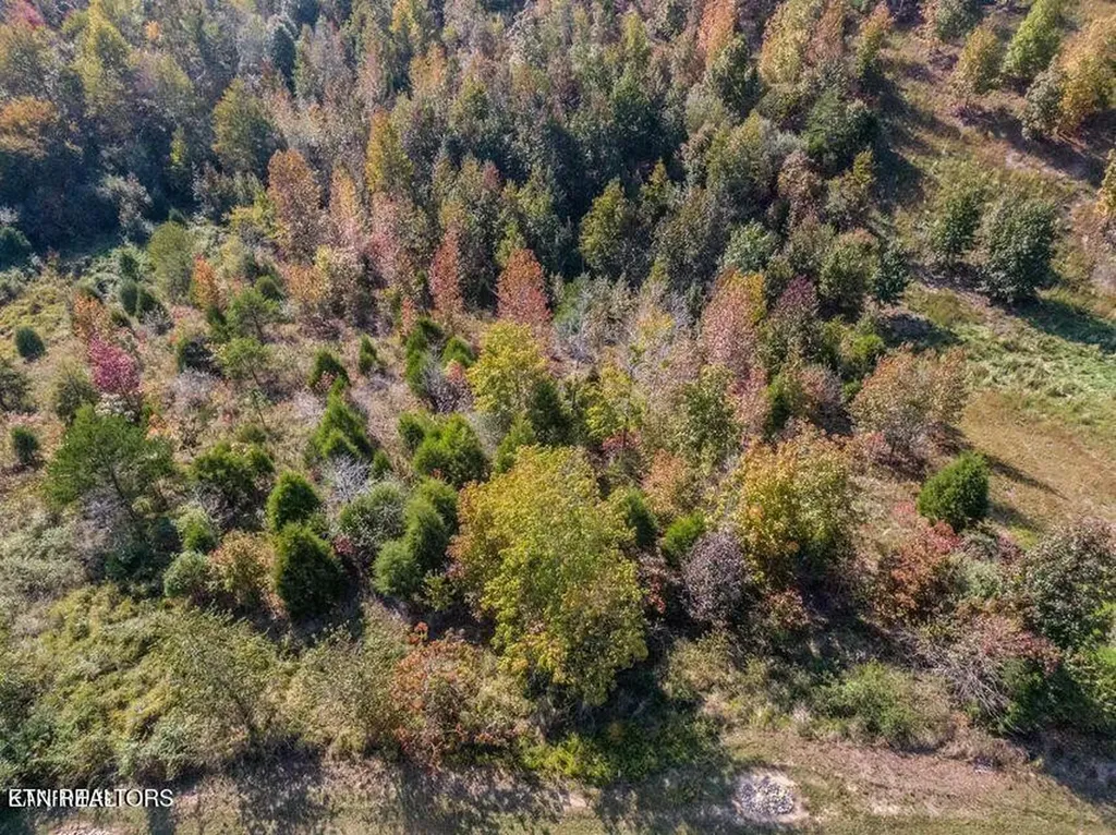 0 Emerald Pointe Circle Rockwood TN 37854