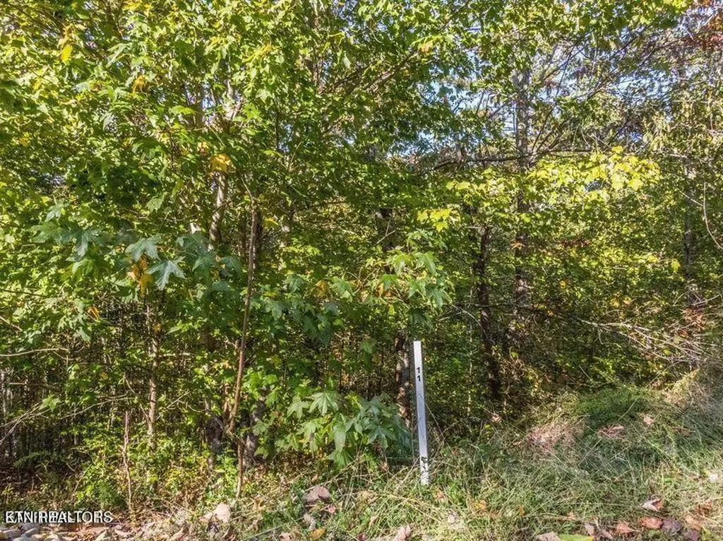 0 Emerald Pointe Circle Rockwood TN 37854