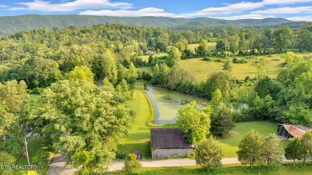 596 Clifty Creek Road Oakdale TN 37829