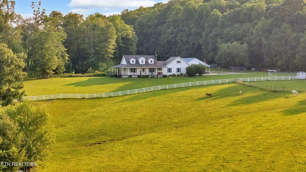 596 Clifty Creek Road Oakdale TN 37829