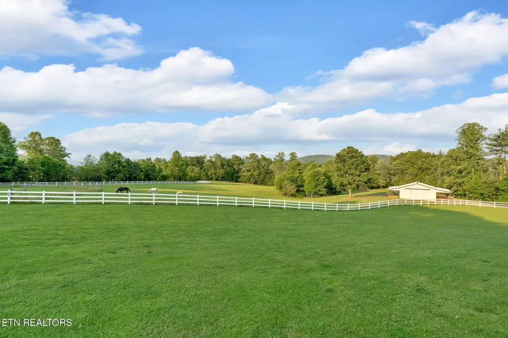 596 Clifty Creek Road Oakdale TN 37829
