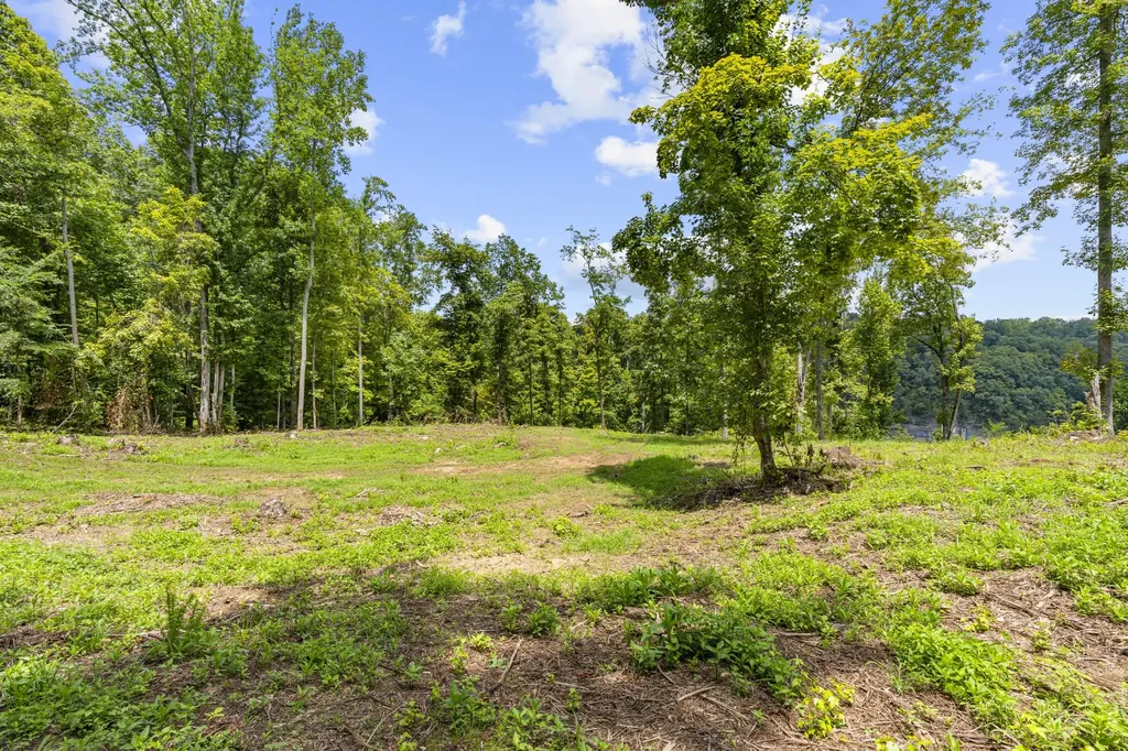 0 Allen Bend Road Smithville TN 37166