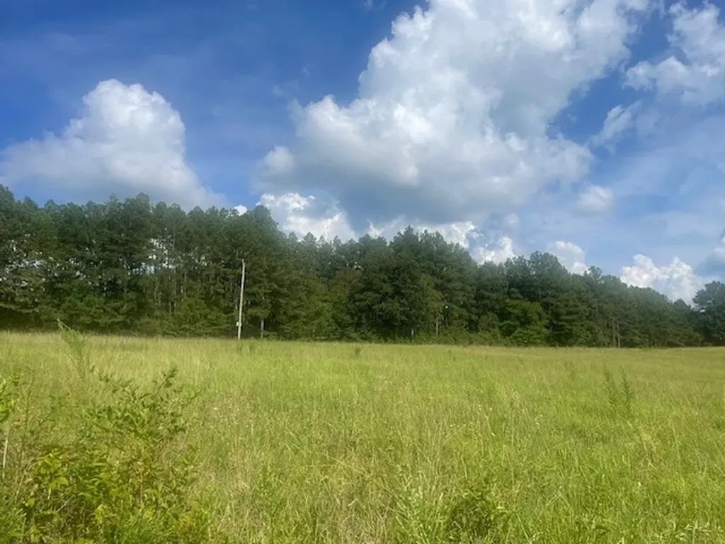 0 Tennessee Ridge Road Waverly TN 37185