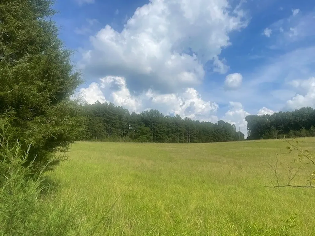 0 Tennessee Ridge Road Waverly TN 37185