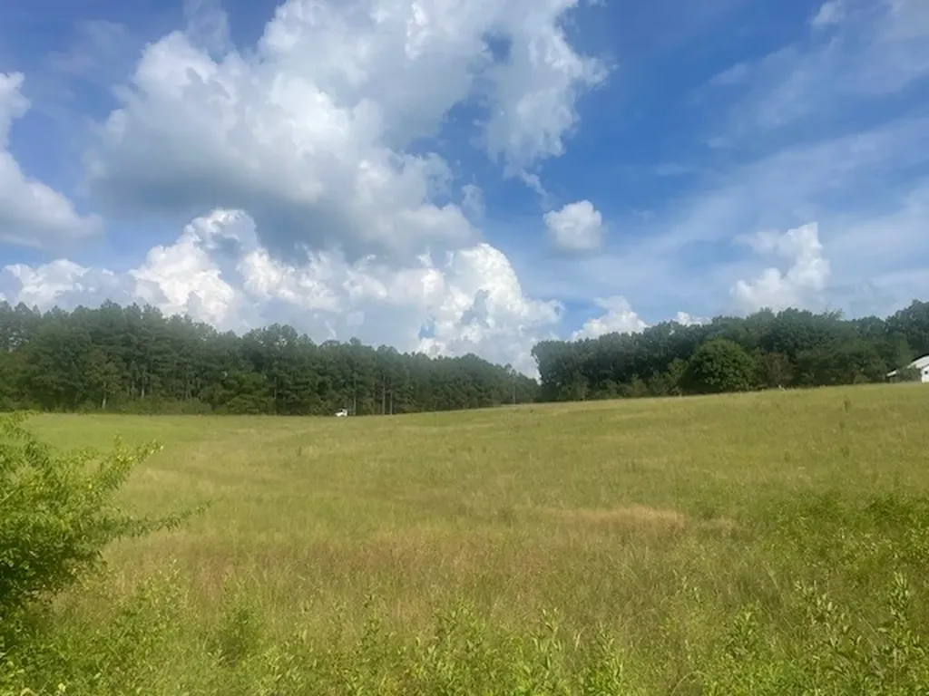 0 Tennessee Ridge Road Waverly TN 37185