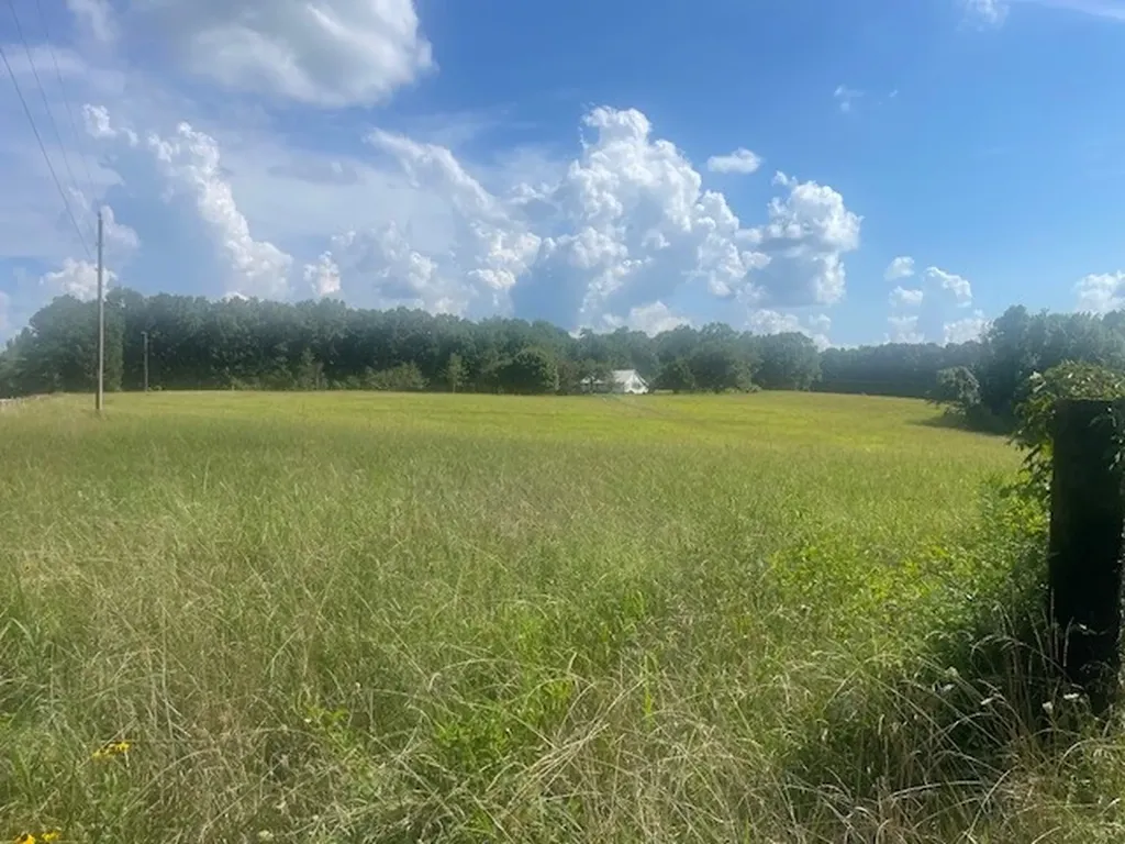 0 Tennessee Ridge Road Waverly TN 37185