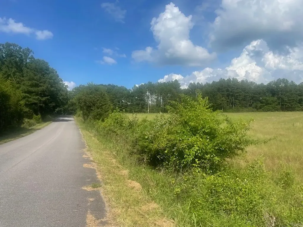 0 Tennessee Ridge Road Waverly TN 37185