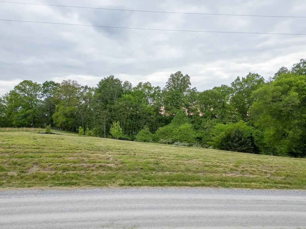 0 Lake Bluff Red Baxter TN 38544