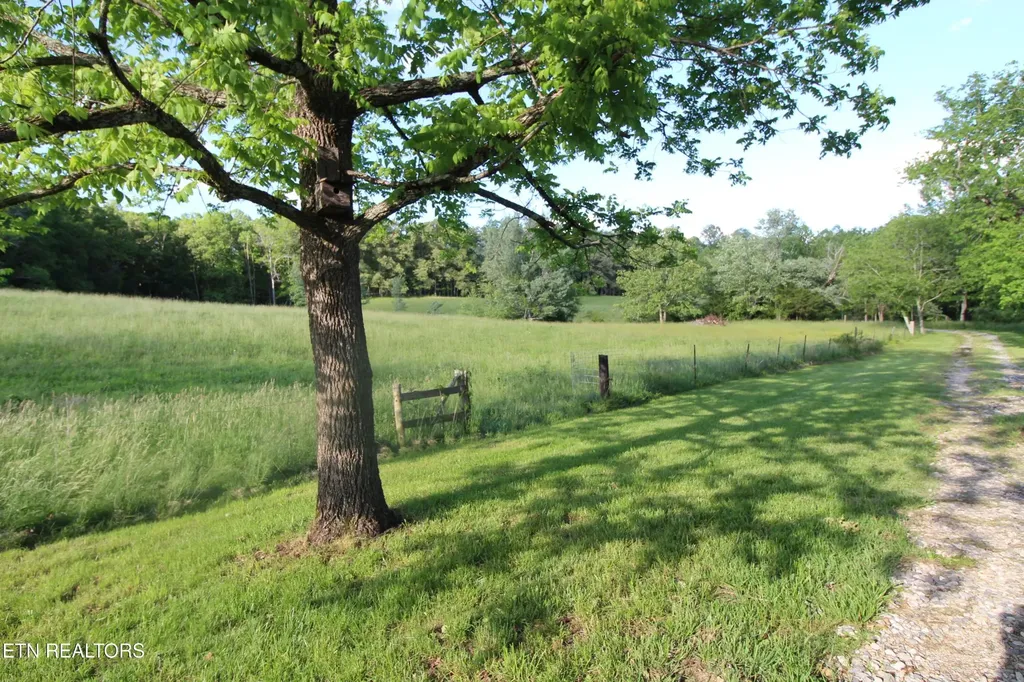 1038 Newton Lane Crossville TN 38572
