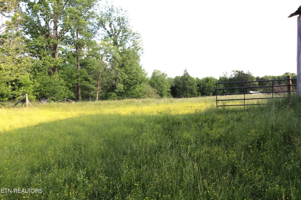1038 Newton Lane Crossville TN 38572