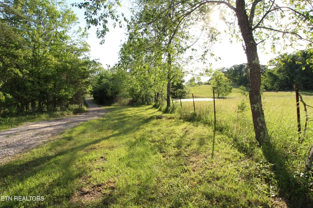 1038 Newton Lane Crossville TN 38572