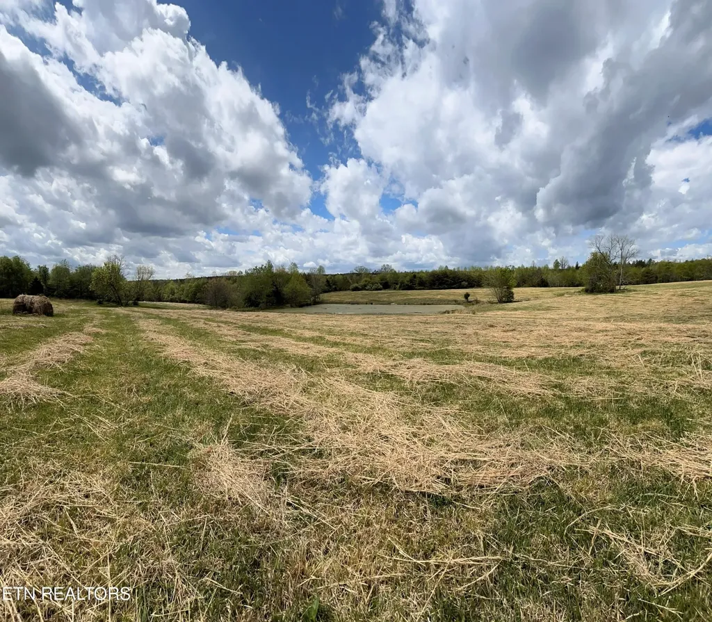 1038 Newton Lane Crossville TN 38572