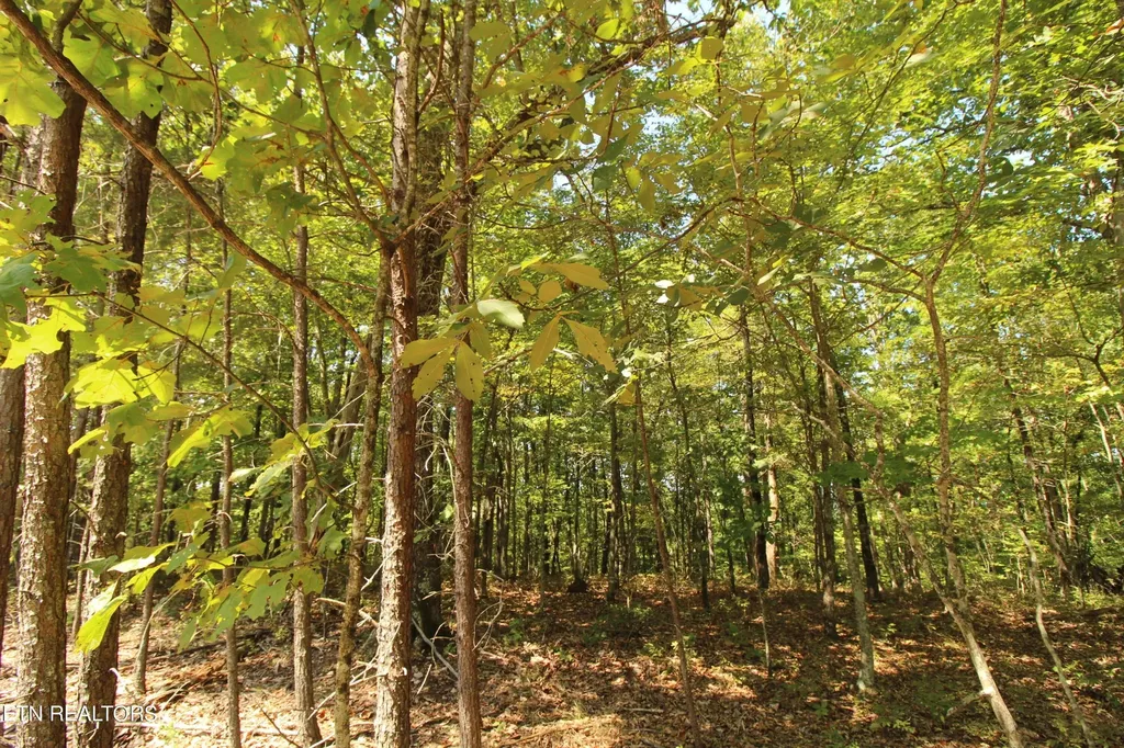 323 Rotherham Drive Crossville TN 38558