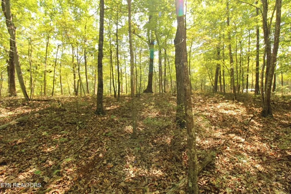 323 Rotherham Drive Crossville TN 38558