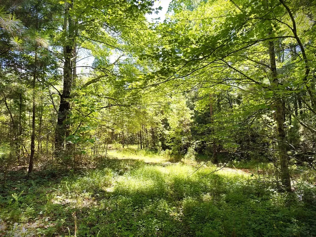 0 Marcrom Road Morrison TN 37357