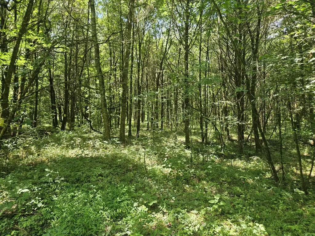 3720 SE Tater Peeler Road Lebanon TN 37090