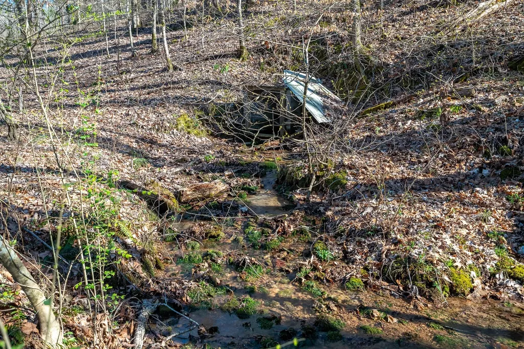 15 Clifton Road Lawrenceburg TN 38464