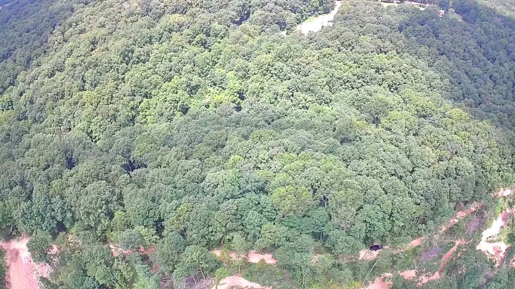 0 Ridgetop Drive Bon Aqua TN 37025