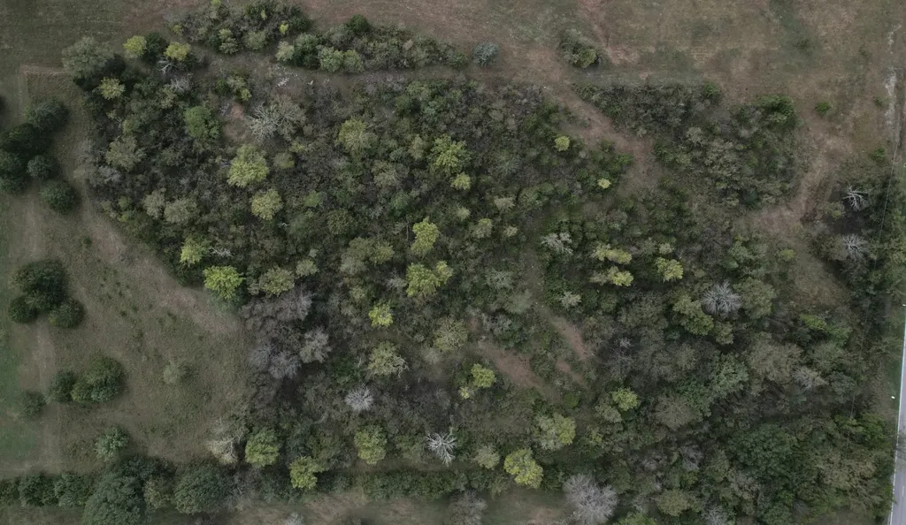 0 Finley Beech Lewisburg TN 37091