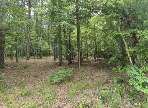 4560 Raulston Falls Road Jasper TN 37347