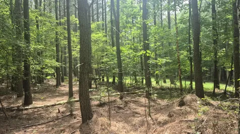 4560 Raulston Falls Road Jasper TN 37347